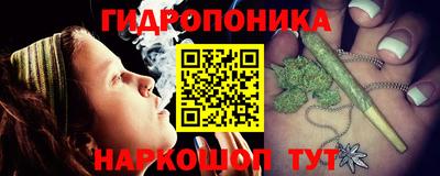 мдпв Пенза