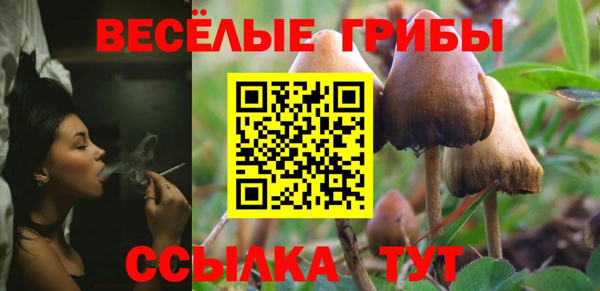 Сальск  Псилоцибиновые грибы Cubensis  Галлюциногенные грибы Psilocybe  Вход с VPN 