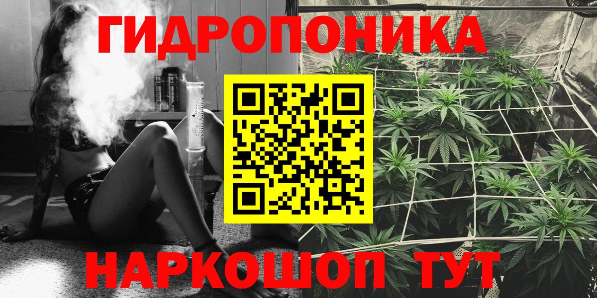 Конопля конопля Сальск